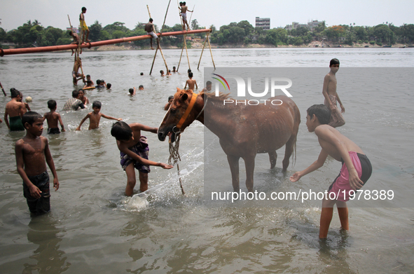 Boys are bathing a horse on the Buriganga River during the hot weather in Dhaka, Bangladesh, on May 24, 2017.  