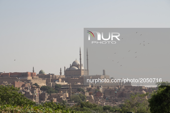 The mosque Mohammed Ali Pasha from Al-Azhar park in Cairo on June 9, 2017 