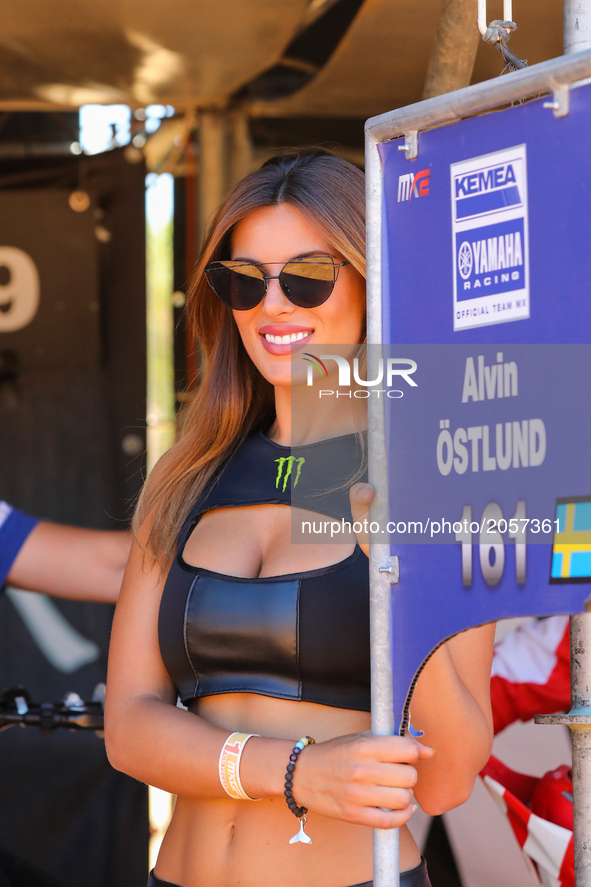 Monster Girl poses during the Warm-up MXGP World Championship 2017 Race of Portugal, Agueda, July 2, 2017. 