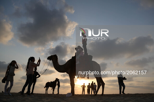 Palestinians ride a camel in the sunset at Gaza beach , in Gaza City, 05 July 2017. 
