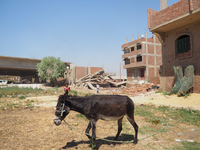 A destroyed house in al-Warraq Island, Giza, Egypt, 18 July 2017. Clashes broke at the island of al-Warraq after security forces destroyed s...