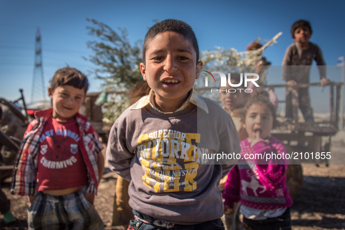 Syrian refugees in agricultural camps near Izmir 