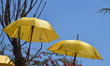 Yellow umbrellas are pictured on the second day of the 7th International Big Ankara Festiv...