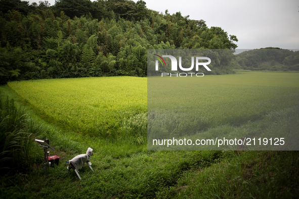 A robot named "Super Monster Wolf" a solar powered robot designed to scare away wild animals from farmer’s crops is seen in the rice field i...