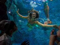 Visitors watch several mermaids while they swim in a giant tank during a show at an aquarium in Sao Paulo, Brazil, on August 14, 2017. (