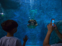 Visitors watch several mermaids while they swim in a giant tank during a show at an aquarium in Sao Paulo, Brazil, on August 14, 2017. (