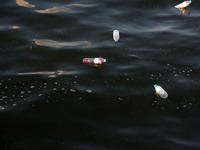 Bottles containing messages against the siege of the Gaza Strip are seen floating in the water at the port in Gaza City after they were thro...