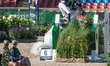 Irish rider Shane Sweednam on Chaqui Z rides in the qualifying competition of the 2017 FEI...
