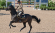 Italian rider Alberto Zorzi on Cornetto K rides in the qualifying competition of the 2017...