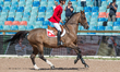 Swiss rider Steve Guerdat on Bianca rides the lap of honor at Ullevi Stadium in Gothenburg...