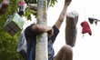 Finally the contestan reach out the prize hang on the top of the oily areca tree. In order...