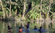 Indonesian men compete for prizes in climbing the greasy pole called "panjat pinang" durin...