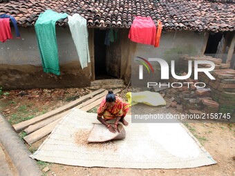 A villager looks outside of her living mud house and cleans puffs made from the paddy grain outskirts of the eastern Indian state Odisha's c...