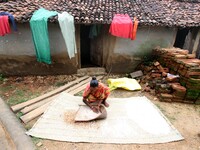 A villager looks outside of her living mud house and cleans puffs made from the paddy grain outskirts of the eastern Indian state Odisha's c...
