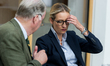 The top candidate of AfD Alexander Gauland and the top candidate of AfD Alice Weidel are t...
