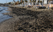The beaches are closed due to a prohibition of the Government to swimm or fish in the oil...