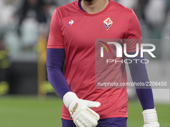 Bartlomiej Dragowski during Serie A match between Juventus v Fiorentina, in Turin, on September 20, 2017 (