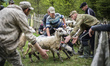Late spring, when shepherds go to Carpathian mountain valleys all villagers come to celebr...