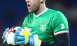 Colin Doyle of Republic of Ireland during FIFA World Cup group qualifier match between Wa...
