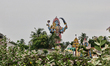 Giant statue of the Hindu Goddess Kail at a Hindu temple in Kadaloor, Tamil Nadu, India. 