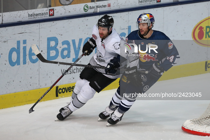 Red Bull Munich v Nuernberg Ice Tigers - German Ice Hockey League