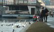 People feed ducks and swans near Vistula river.On Sunday, 21 January 2018, in Krakow, Pol...