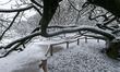 Snow falls in Paris on the Jardin des Plantes and the National Museum of Natural History i...