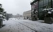 Snow falls in Paris on the Jardin des Plantes and the National Museum of Natural History i...