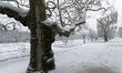 Snow falls in Paris on the Jardin des Plantes and the National Museum of Natural History i...