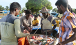 Tamil fishermen unload their catch of fish in Point Pedro, Jaffna, Sri Lanka. 