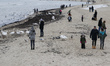 People feeding ducks and swans at the beach are seen in winter scenery in Baltic Sea coast...