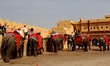 Caravan of elephants inside Amber (Amer) Fort complex in Jaipur, Rajasthan  on 20 February...