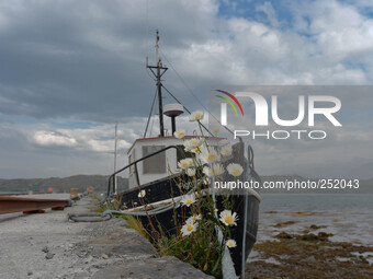 A view of a fishing boat in a small harour near Letterfrack in Western Connemara area. Connemara, County Galway, Ireland. Photo: Artur Widak...