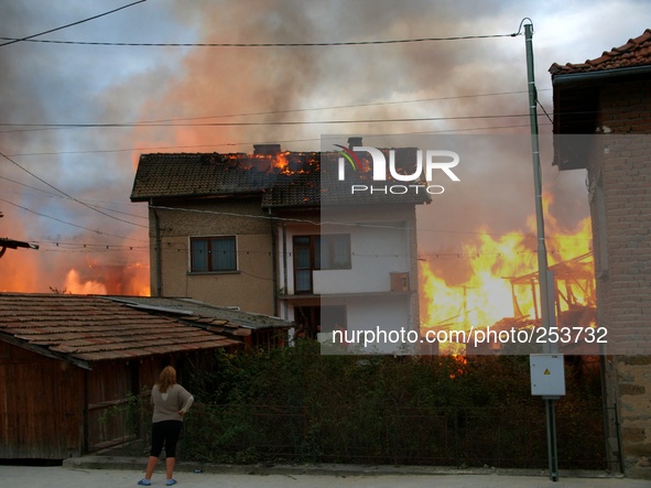 People try to escape, save belonging and observe houses in fire in the town of Rakitovo, near the Bulgarian capital Sofia, Saturday, Sep. 20...