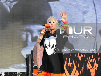 Ninja with Die Antwoord performs during Free Press Summer Festival (FPSF) in Eleanor Tinsley Park on June 1, 2014 in Houston, Texas. (