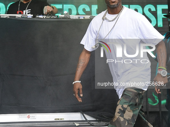 DMX performs during Free Press Summer Festival (FPSF) in Eleanor Tinsley Park on June 1, 2014 in Houston, Texas. (