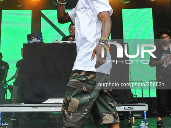 DMX performs during Free Press Summer Festival (FPSF) in Eleanor Tinsley Park on June 1, 2014 in Houston, Texas. (