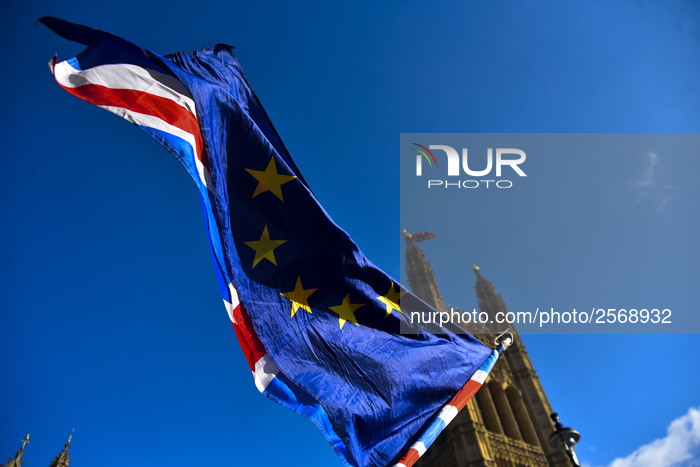  European Flags Outside The Parliament 