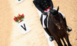 (140924) -- INCHEON, Sept. 24, 2014 () -- Hua Tian of China competes during the eventing i...