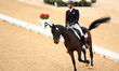 (140924) -- INCHEON, Sept. 24, 2014 () -- Hua Tian of China competes during the eventing i...