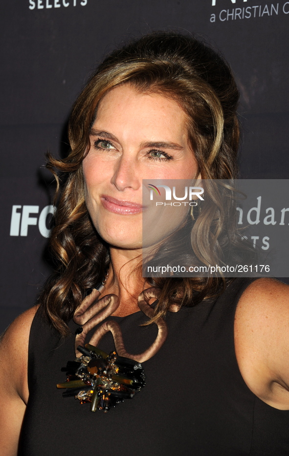 Brooke Shields attends the premiere of 'Days And Nights' at the IFC Center on September 25, 2014 in New York City.
