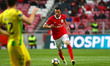 SL Benfcas Midfielder Andreas Samaris from Greece during the Premier League 2017/18 match...