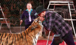 An artist kisses a tiger during the presentation of the new show "The Frescoes of Kiev", d...