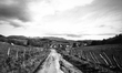  Along the road to Santiago de Compostela, on the path between Biscarreta and Lintzoain, S...