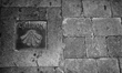 The shell, symbol of the Camino de Santiago de Compostela, on the sidewalks of the main st...