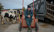 A man a watching the sales during the 2014 Ballinasloe Horse Fair and Festival. . Ballinas...
