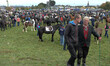 Thousands attend the opening day of the 2014 Ballinasloe Horse Fair and Festival. . Ballin...