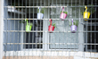 Colored pots with vegetation are seen hanging on a balcony in the Praga distrcit in Warsaw...