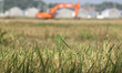 Farmers harvest rice on one of farmland with an excavator, residential and oil refinery as...