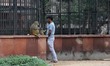 An Indian man pissing in a park near India gate in New Delhi, India, on 22 July 2018.  
